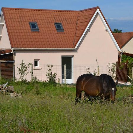 Le Paddock Des Caloges Villa Le Tilleul Exterior photo